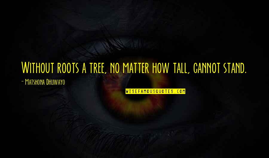 Milhausen In Quotes By Matshona Dhliwayo: Without roots a tree, no matter how tall,