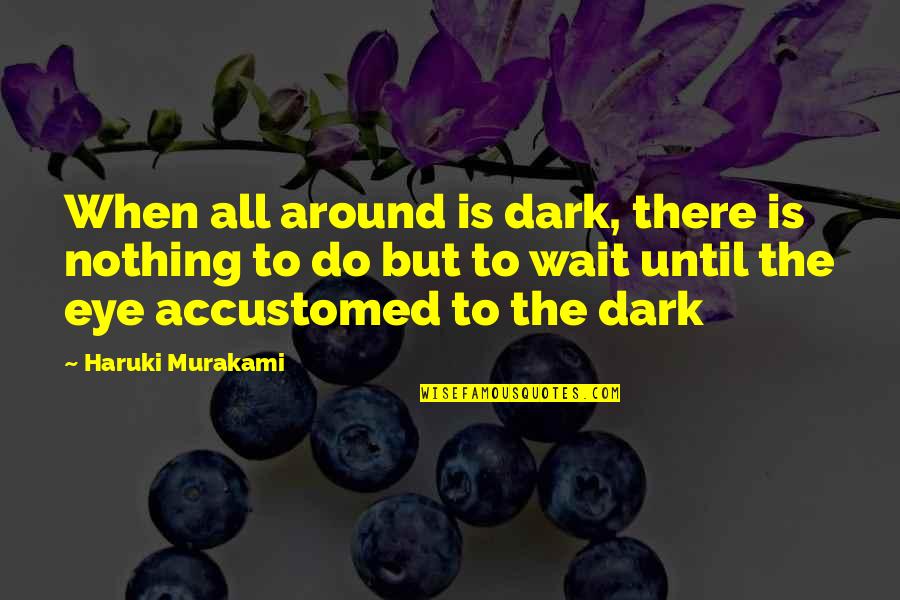 Milton Jones Quotes By Haruki Murakami: When all around is dark, there is nothing