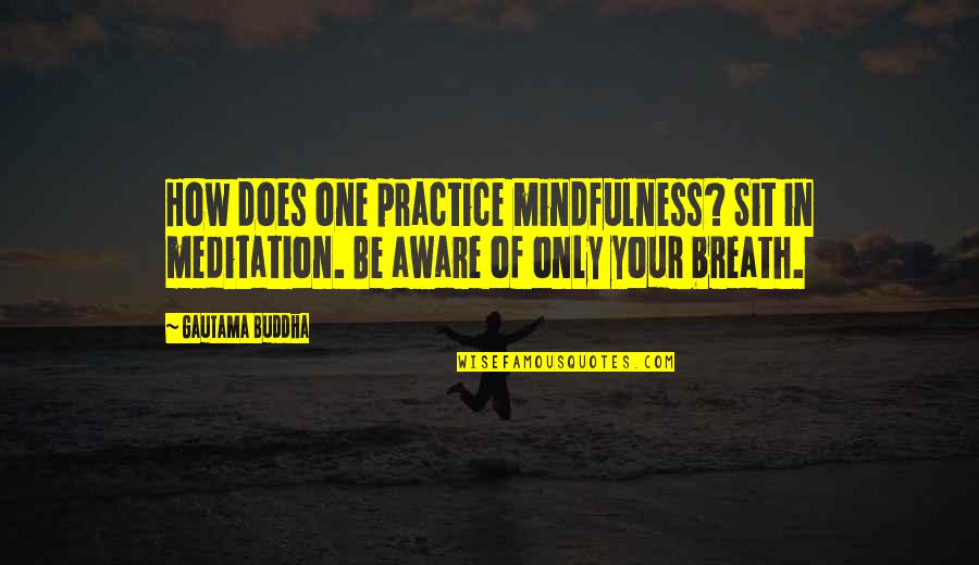 Mindfulness Of Breath Quotes By Gautama Buddha: How does one practice mindfulness? Sit in meditation.