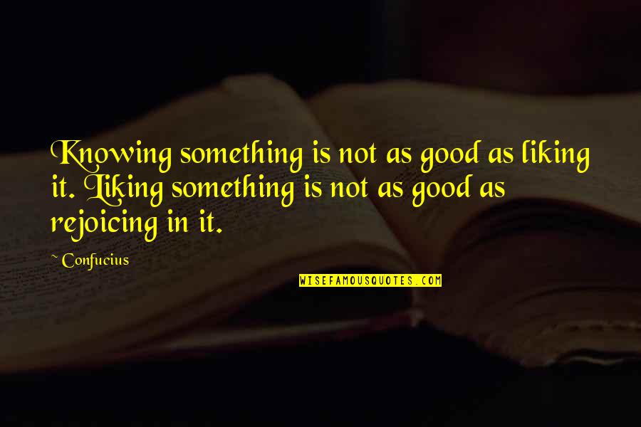 Mirjam Bjorklund Quotes By Confucius: Knowing something is not as good as liking