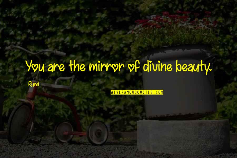 Mirrors And Beauty Quotes By Rumi: You are the mirror of divine beauty.