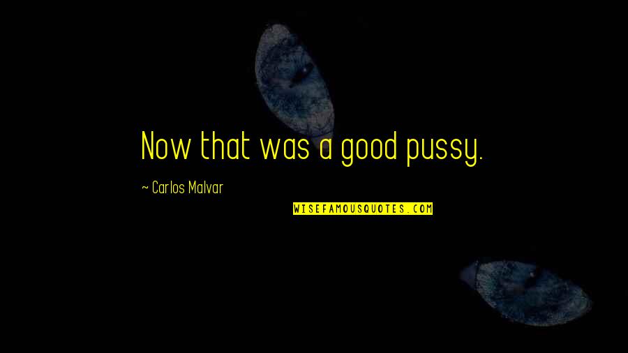 Miskiewicz Realty Quotes By Carlos Malvar: Now that was a good pussy.