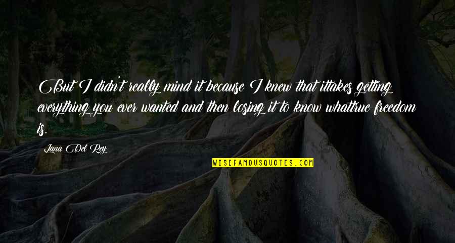 Missg Nstig Quotes By Lana Del Rey: But I didn't really mind it because I