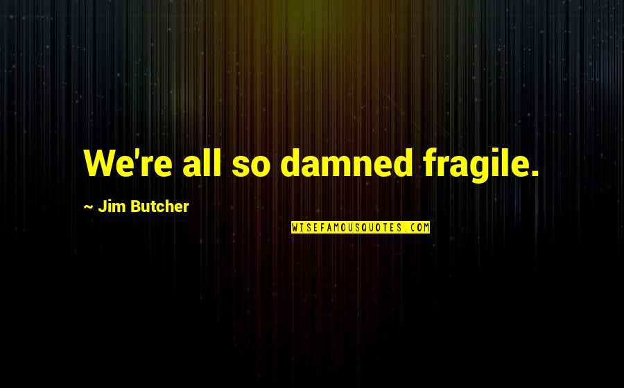 Missing Sunshine Quotes By Jim Butcher: We're all so damned fragile.