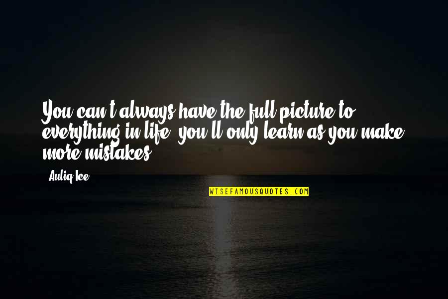 Mistakes Of My Life Quotes By Auliq Ice: You can't always have the full picture to