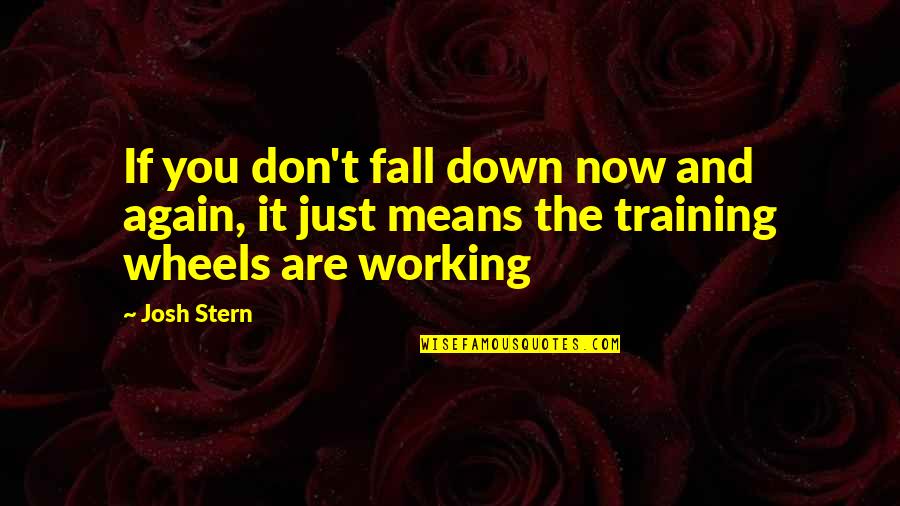 Mittraphap Quotes By Josh Stern: If you don't fall down now and again,