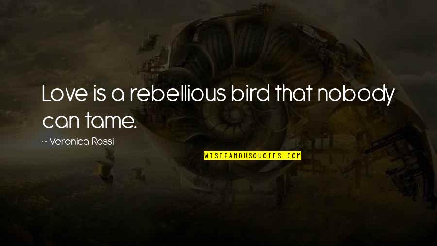 Modalitatea De Rambursare Quotes By Veronica Rossi: Love is a rebellious bird that nobody can