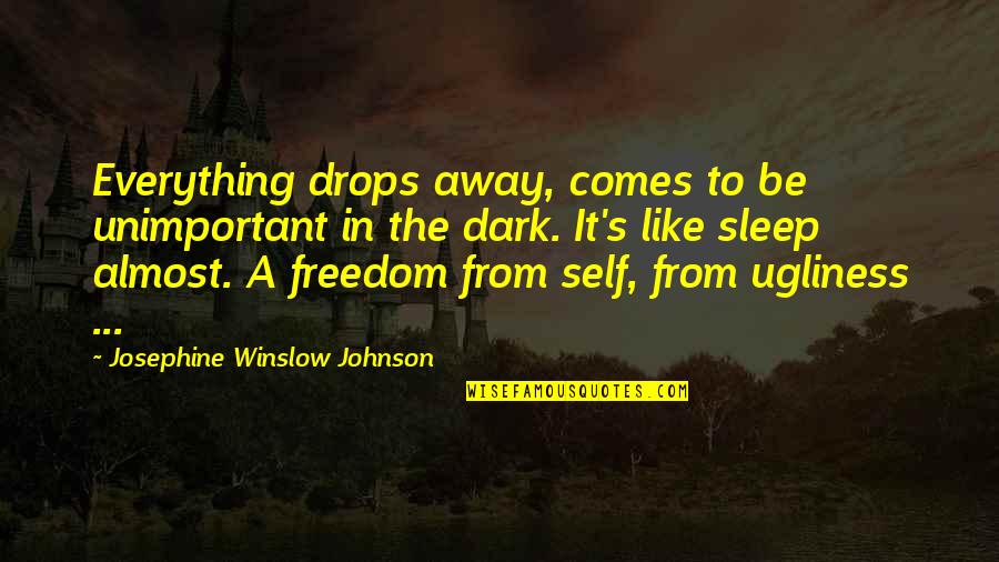 Modernization Of Japan Quotes By Josephine Winslow Johnson: Everything drops away, comes to be unimportant in