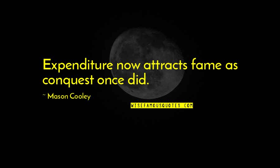 Modra Zavarovalnica Quotes By Mason Cooley: Expenditure now attracts fame as conquest once did.