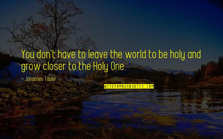 Mohales Hoek Quotes By Johannes Tauler: You don't have to leave the world to