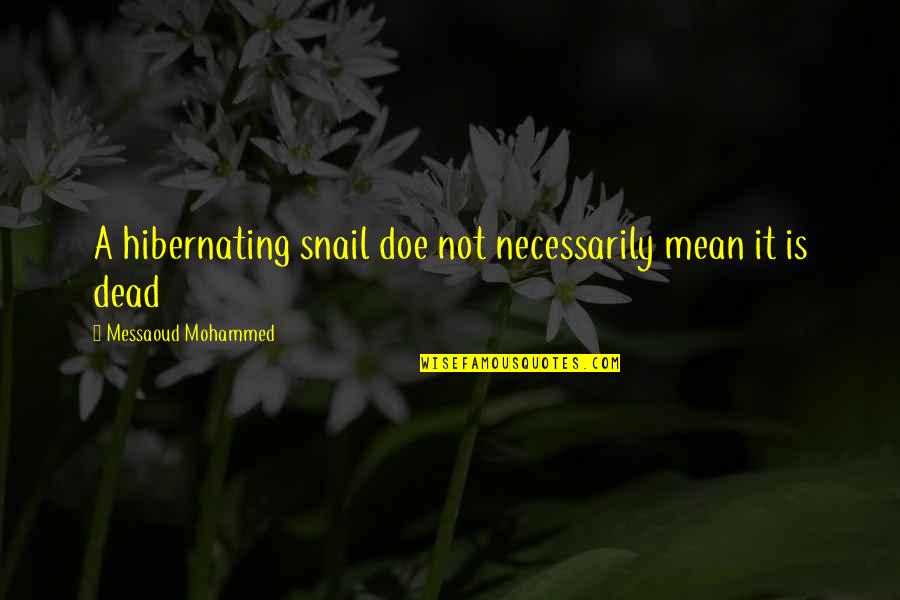 Mohammed's Quotes By Messaoud Mohammed: A hibernating snail doe not necessarily mean it