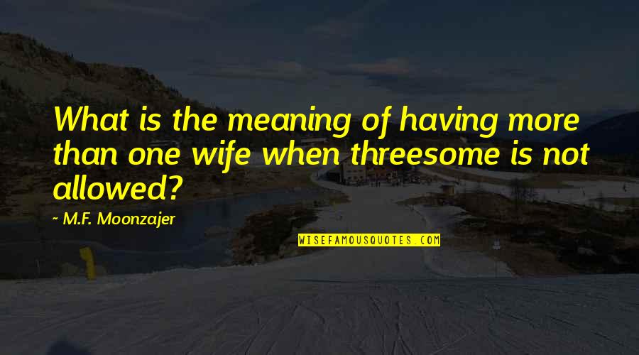 Moment When You Realize Quotes By M.F. Moonzajer: What is the meaning of having more than