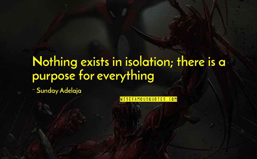 Money Is Not Everything In Life Quotes By Sunday Adelaja: Nothing exists in isolation; there is a purpose