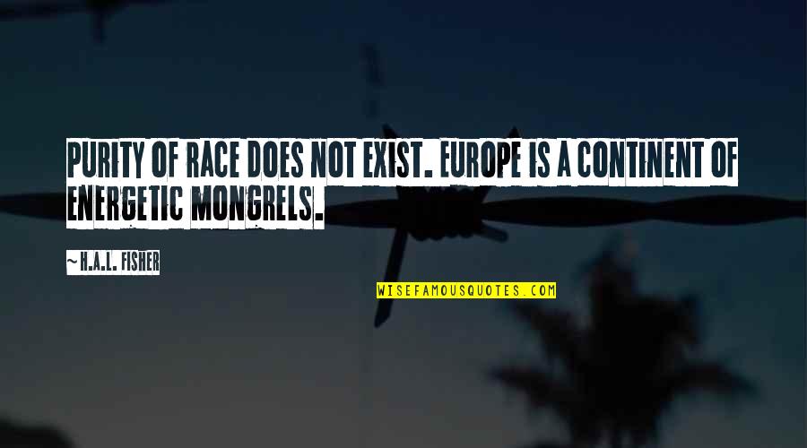 Mongrels Quotes By H.A.L. Fisher: Purity of race does not exist. Europe is