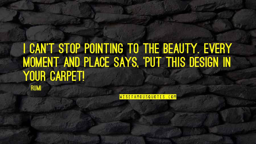 Montazeri A Quotes By Rumi: I can't stop pointing to the beauty. Every