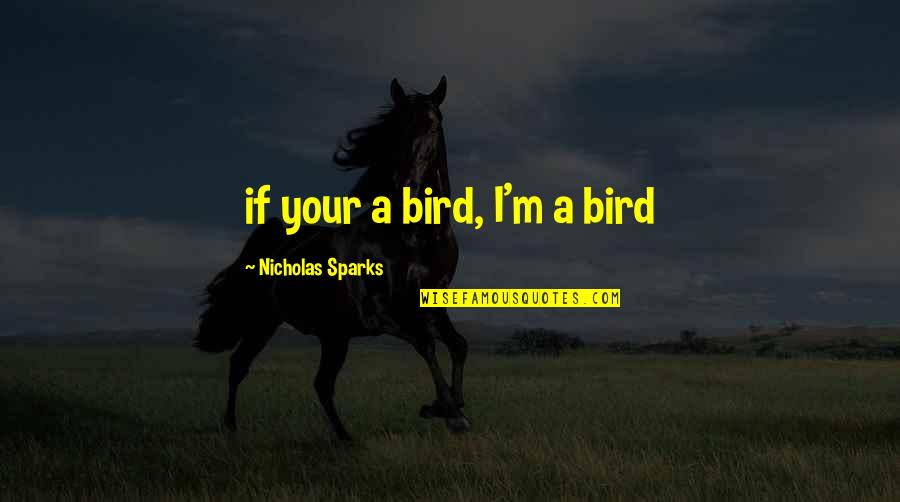 Moreblessing Manhanga Quotes By Nicholas Sparks: if your a bird, I'm a bird
