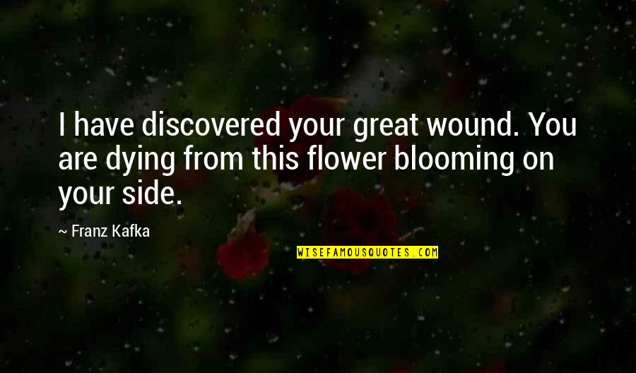 Most Famous Astronaut Quotes By Franz Kafka: I have discovered your great wound. You are