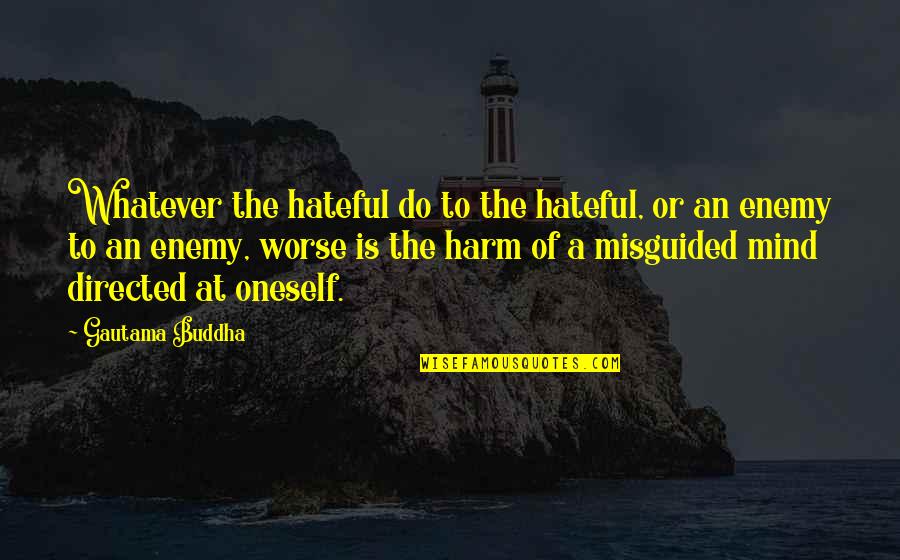 Mother Abandoning A Child Quotes By Gautama Buddha: Whatever the hateful do to the hateful, or