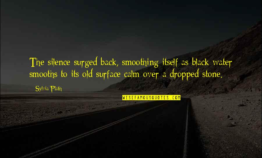 Motherly Strength Quotes By Sylvia Plath: The silence surged back, smoothing itself as black