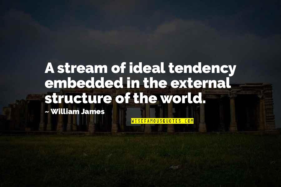 Motive In Helping People Quotes By William James: A stream of ideal tendency embedded in the