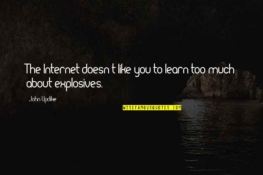 Motorists Quotes By John Updike: The Internet doesn't like you to learn too