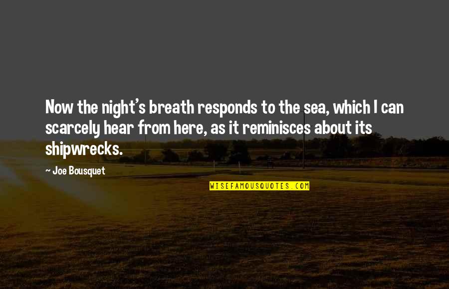 Moussa Net Quotes By Joe Bousquet: Now the night's breath responds to the sea,