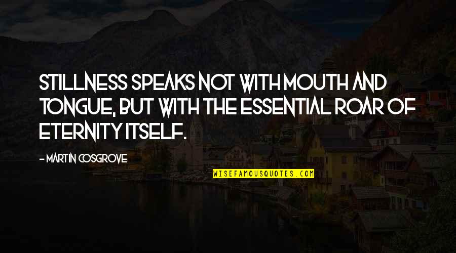 Mouth Not Quotes By Martin Cosgrove: Stillness speaks not with mouth and tongue, but