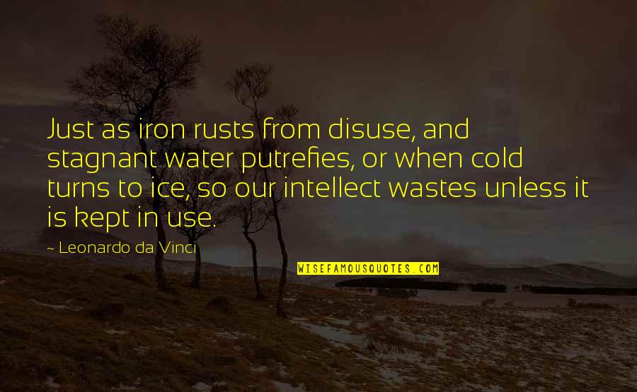 Mozartian Quotes By Leonardo Da Vinci: Just as iron rusts from disuse, and stagnant