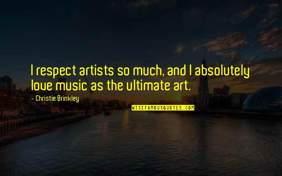 Much Respect Quotes By Christie Brinkley: I respect artists so much, and I absolutely