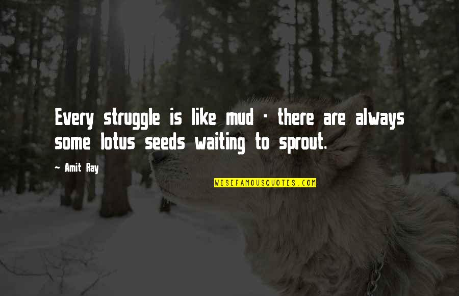Mud Out Quotes By Amit Ray: Every struggle is like mud - there are