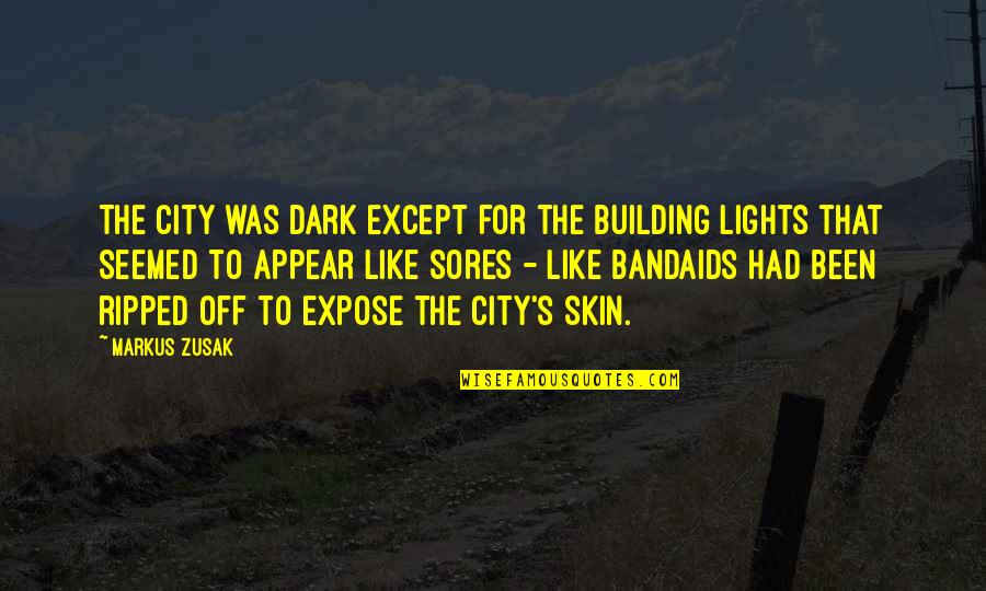 Mudlarks Garden Quotes By Markus Zusak: The city was dark except for the building