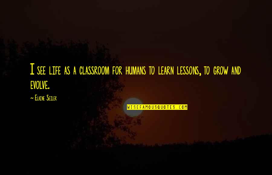 Multidimensional Quotes By Elaine Seiler: I see life as a classroom for humans