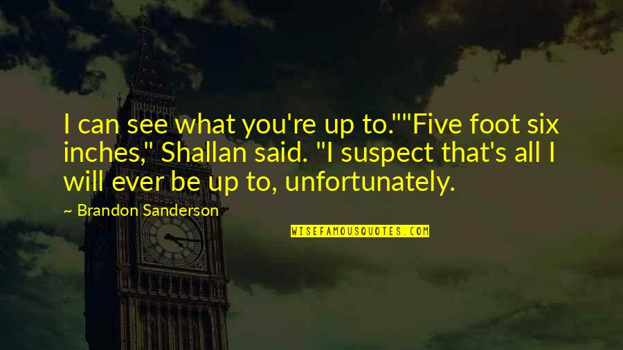 Mumbiker Nikhil Quotes By Brandon Sanderson: I can see what you're up to.""Five foot