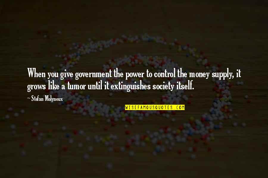 Muneerat Quotes By Stefan Molyneux: When you give government the power to control
