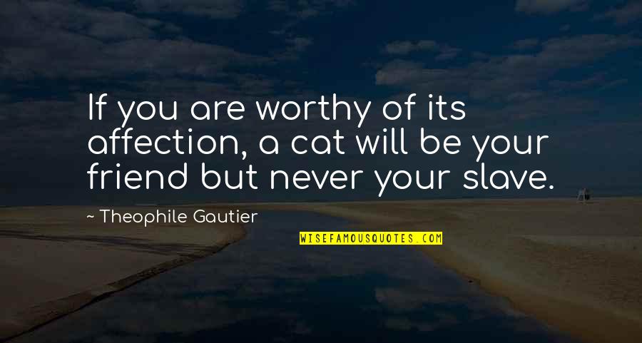 Muneerat Quotes By Theophile Gautier: If you are worthy of its affection, a
