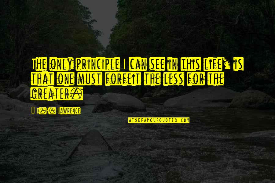 Must See Quotes By D.H. Lawrence: The only principle I can see in this