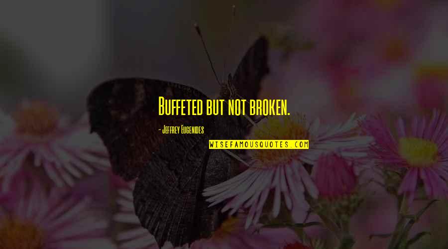 Mwendo Project Quotes By Jeffrey Eugenides: Buffeted but not broken.