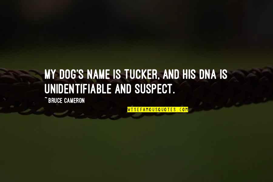 My Dog Is My Quotes By Bruce Cameron: My dog's name is Tucker, and his DNA