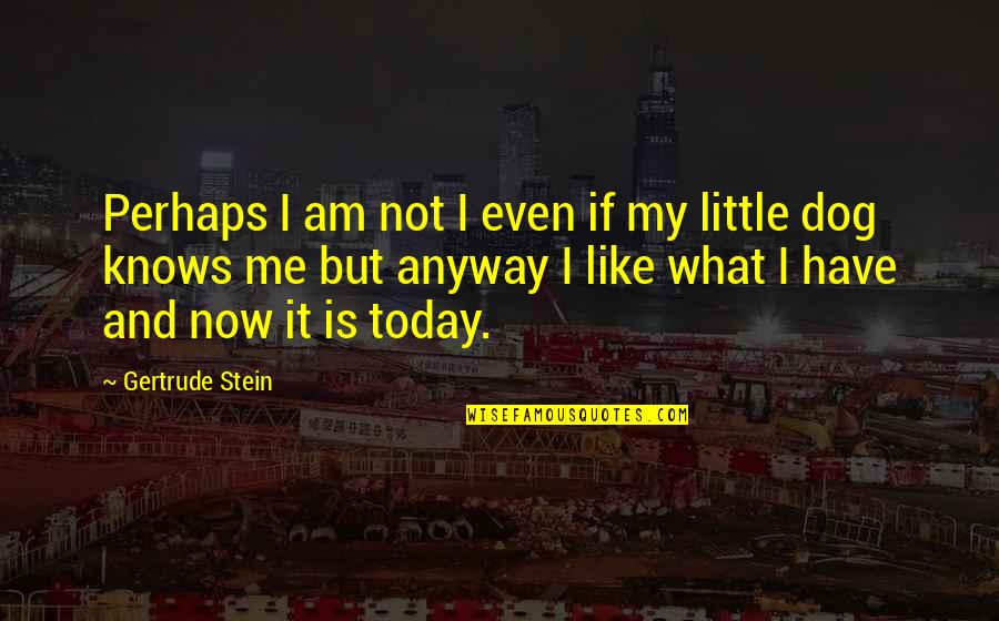 My Dog Is My Quotes By Gertrude Stein: Perhaps I am not I even if my