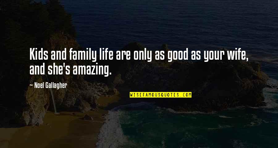 My Family Is Amazing Quotes By Noel Gallagher: Kids and family life are only as good