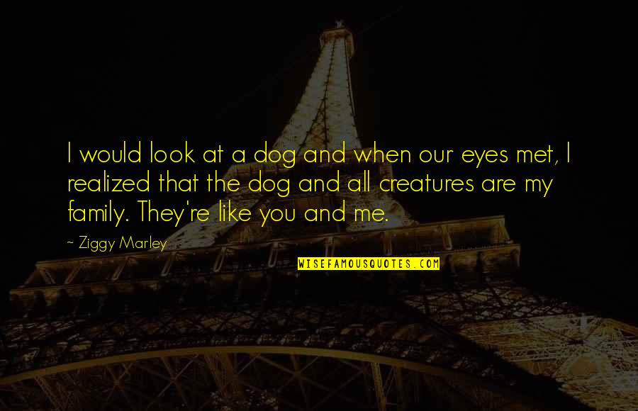 My Family Quotes By Ziggy Marley: I would look at a dog and when