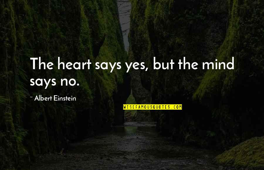 My Heart Says Quotes By Albert Einstein: The heart says yes, but the mind says