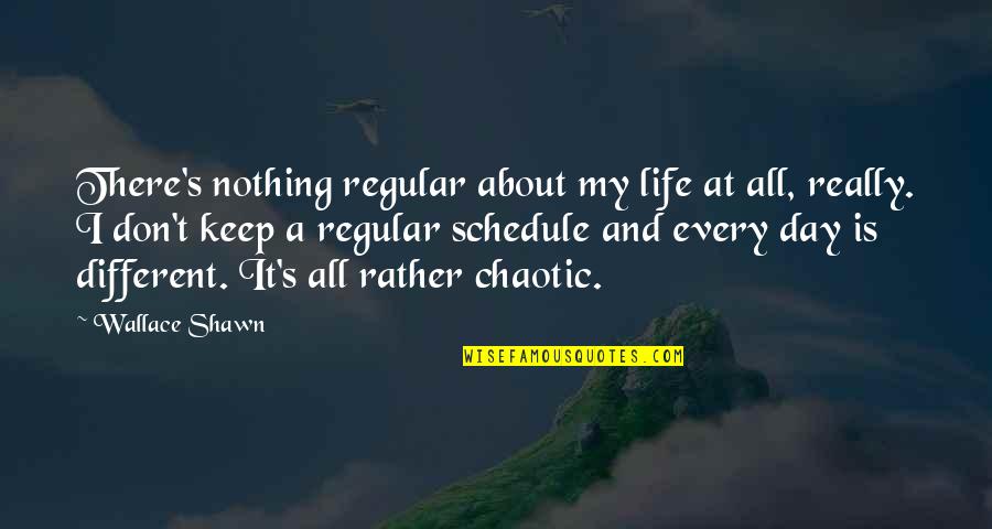 My Life Is Nothing Quotes By Wallace Shawn: There's nothing regular about my life at all,