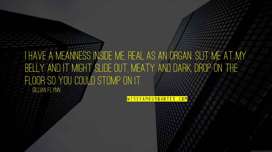 My Real Me Quotes By Gillian Flynn: I have a meanness inside me, real as