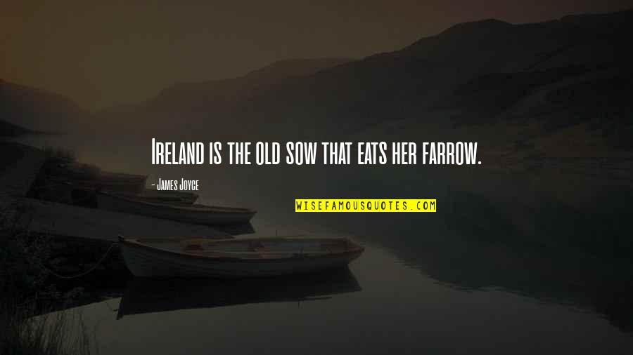 Myardent Quotes By James Joyce: Ireland is the old sow that eats her