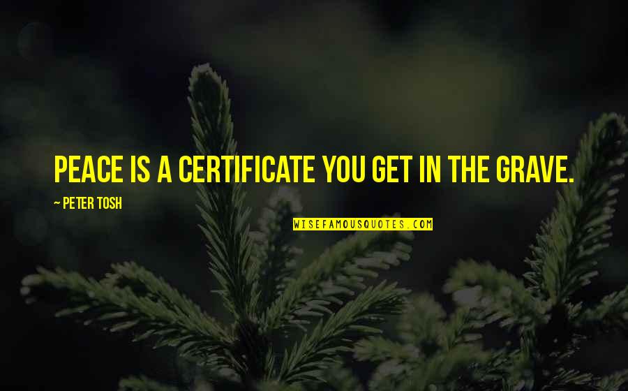 Mystifiers Quotes By Peter Tosh: Peace is a certificate you get in the