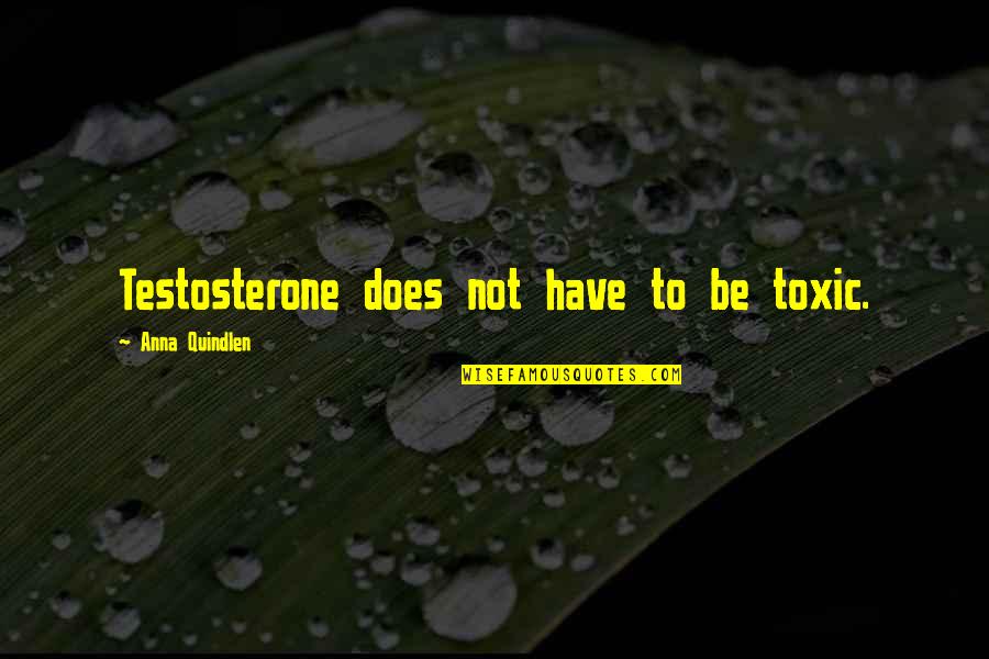 Nadash Quotes By Anna Quindlen: Testosterone does not have to be toxic.