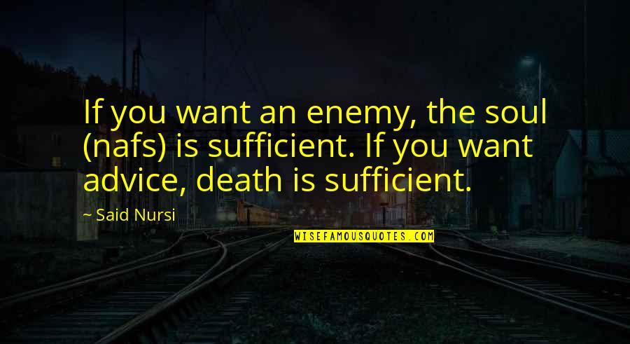 Nafs Quotes By Said Nursi: If you want an enemy, the soul (nafs)