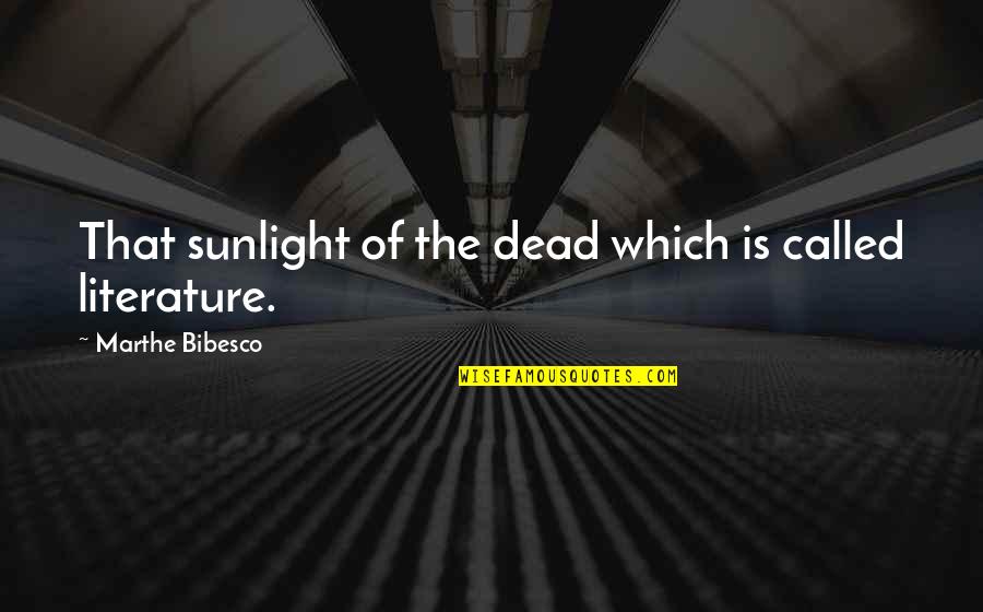 Nakakamiss Maging Bata Quotes By Marthe Bibesco: That sunlight of the dead which is called