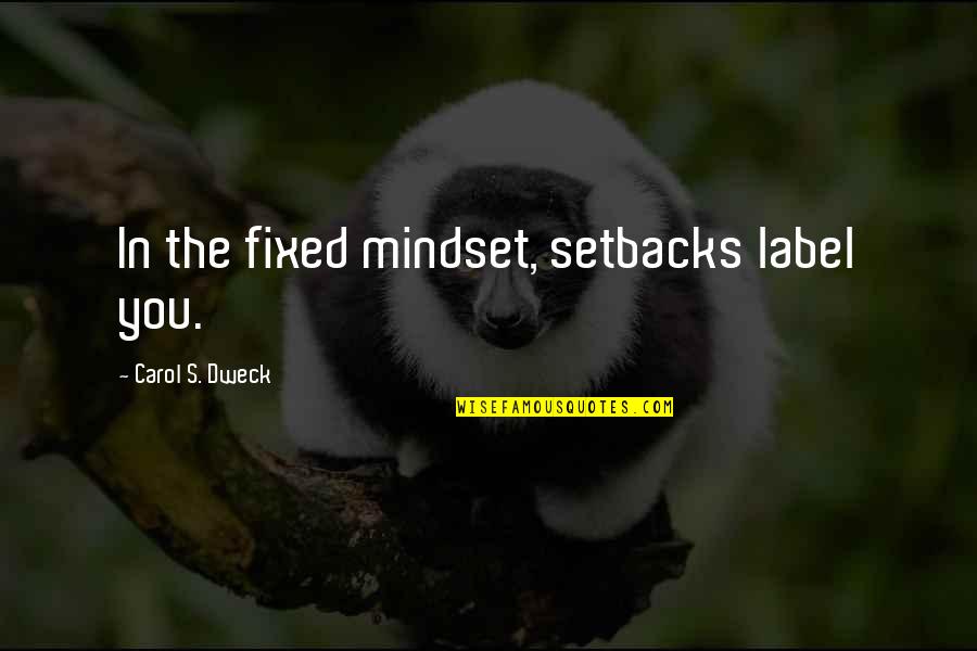 Nakos Abee Quotes By Carol S. Dweck: In the fixed mindset, setbacks label you.